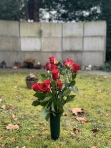 roses on graveyard